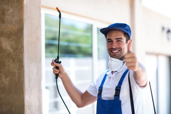 Friendswood Wasp Removal