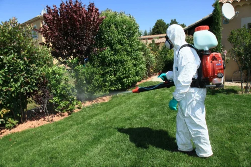 Friendswood Mosquito Control