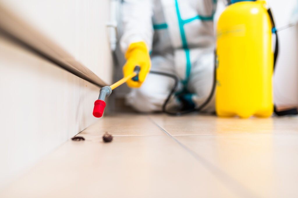 Friendswood Cockroach Experts