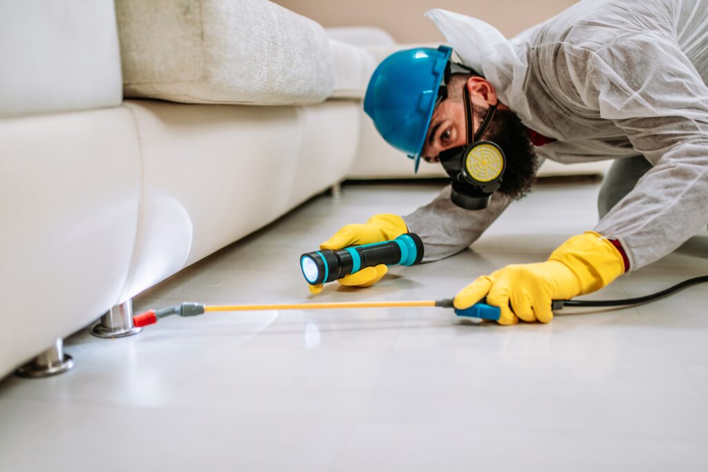Friendswood Termite Control