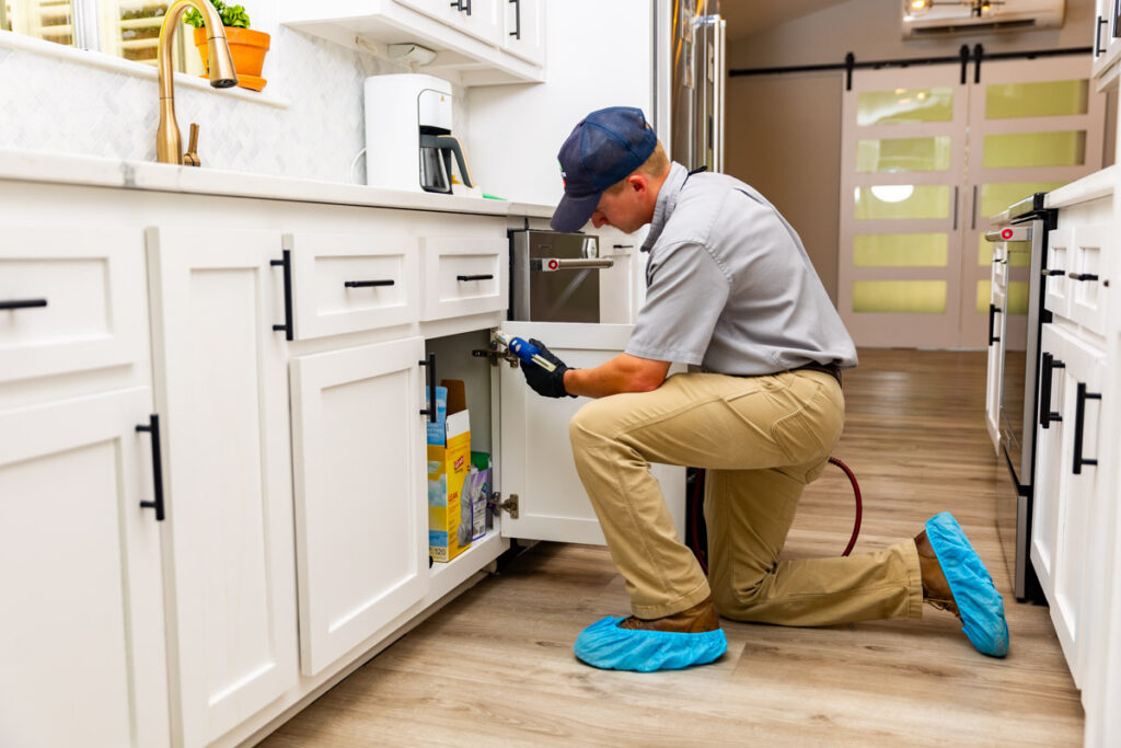 Friendswood xpert pest management